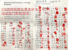 <b>吉林通化：众村民实名举报村官横行乡里，纪委称已经处理</b>