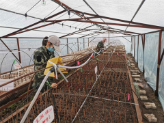 <b>吉林红石林业局端起科创兴林“金饭碗”</b>