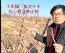 <b>瓦房店主管部门:扯皮连续剧何日是剧终?</b>