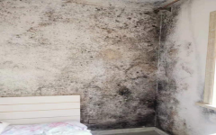 <b>吉林松原：两年鉴定一朝“叫停”法官被指断案不看卷</b>