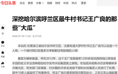 <b>深挖哈尔滨呼兰区最牛村书记王广良的那些“大瓜”</b>