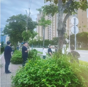 百姓评议国法岂能沦为空谈?举报反遭报复，谁来为我们主持公道?